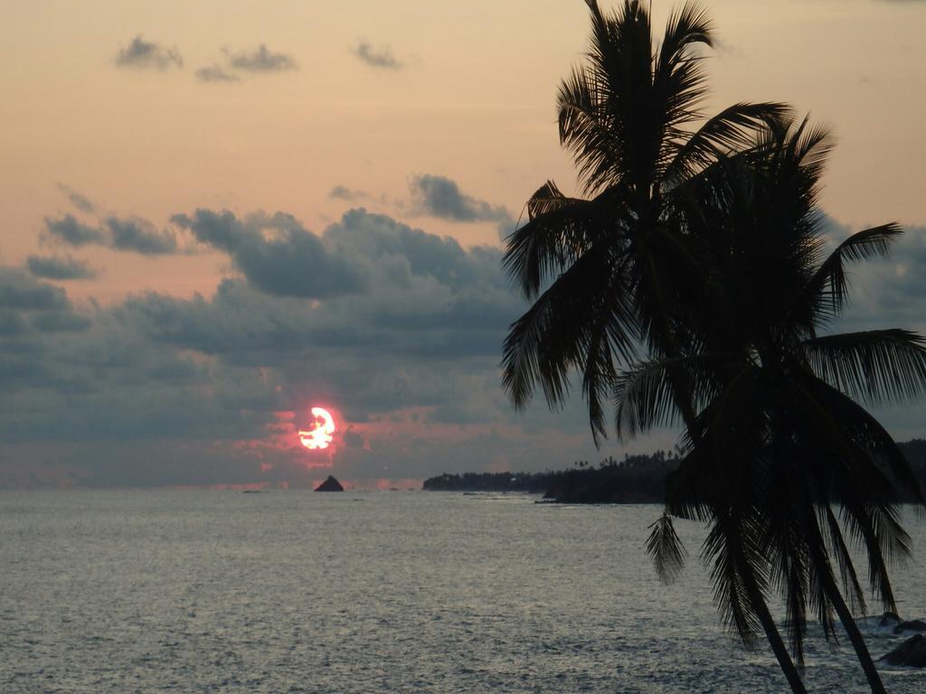 Hotel Perfect View Mirissa Exterior foto